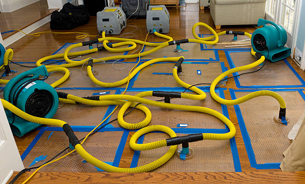 Professional Sewage Cleanup technician working in Whittaker, MI