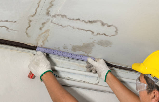 Affordable Water Damage Repair solutions in Whittaker, MI